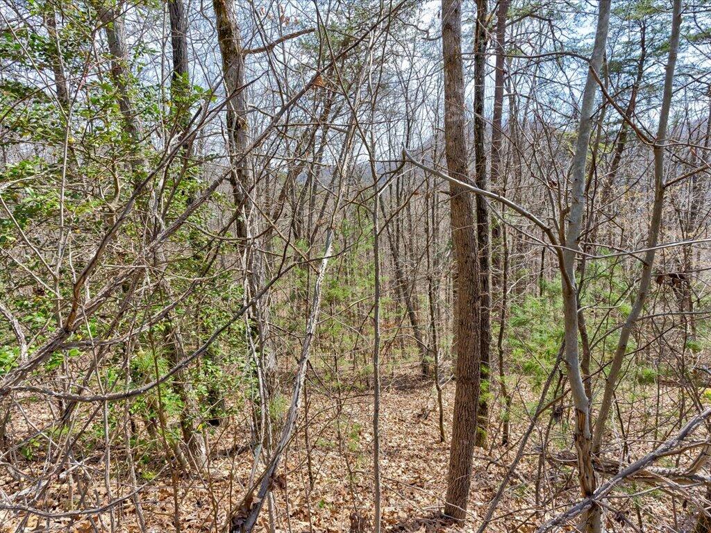 78-79 Bear Track Way, Unit 7879 Del Rio, TN 37727 - Photo 1 of 39 Lot 78 Bear Track Way - 1