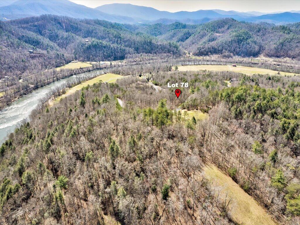 78-79 Bear Track Way, Unit 7879 Del Rio, TN 37727 - Photo 13 of 39 Lot 78 Bear Track Way - 13