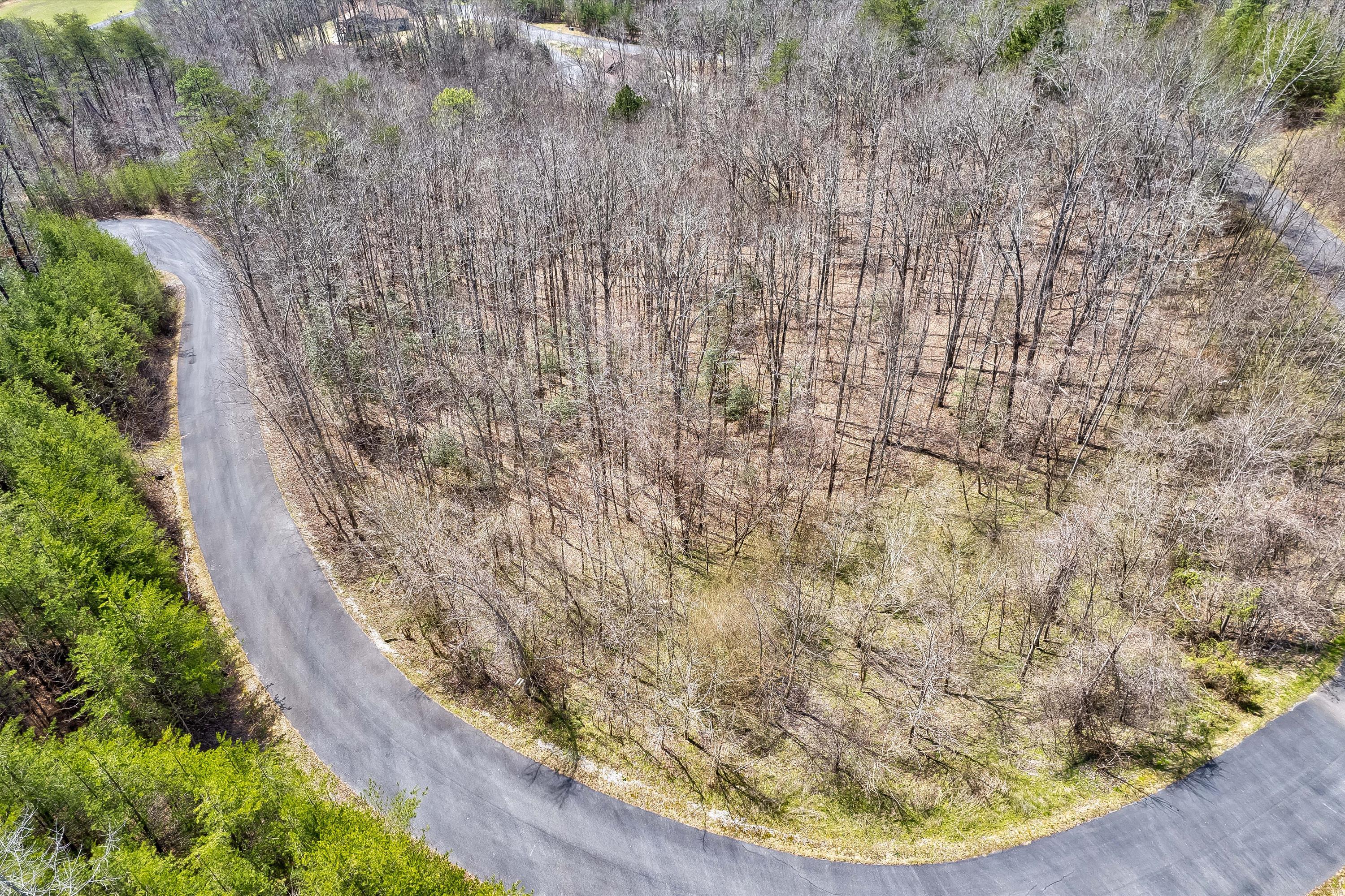 78-79 Bear Track Way, Unit 7879 Del Rio, TN 37727 - Photo 18 of 39 Lot 78 Bear Track Way - 18