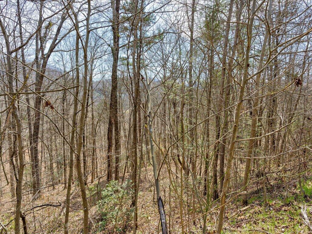 78-79 Bear Track Way, Unit 7879 Del Rio, TN 37727 - Photo 2 of 39 Lot 78 Bear Track Way - 2