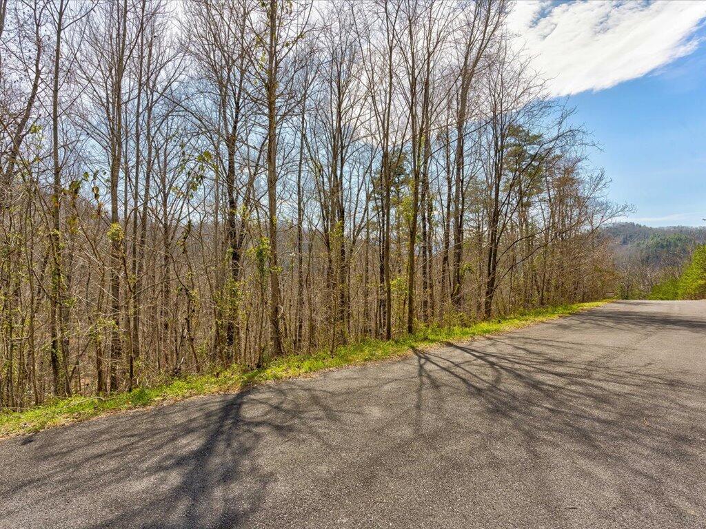 78-79 Bear Track Way, Unit 7879 Del Rio, TN 37727 - Photo 3 of 39 Lot 78 Bear Track Way - 3