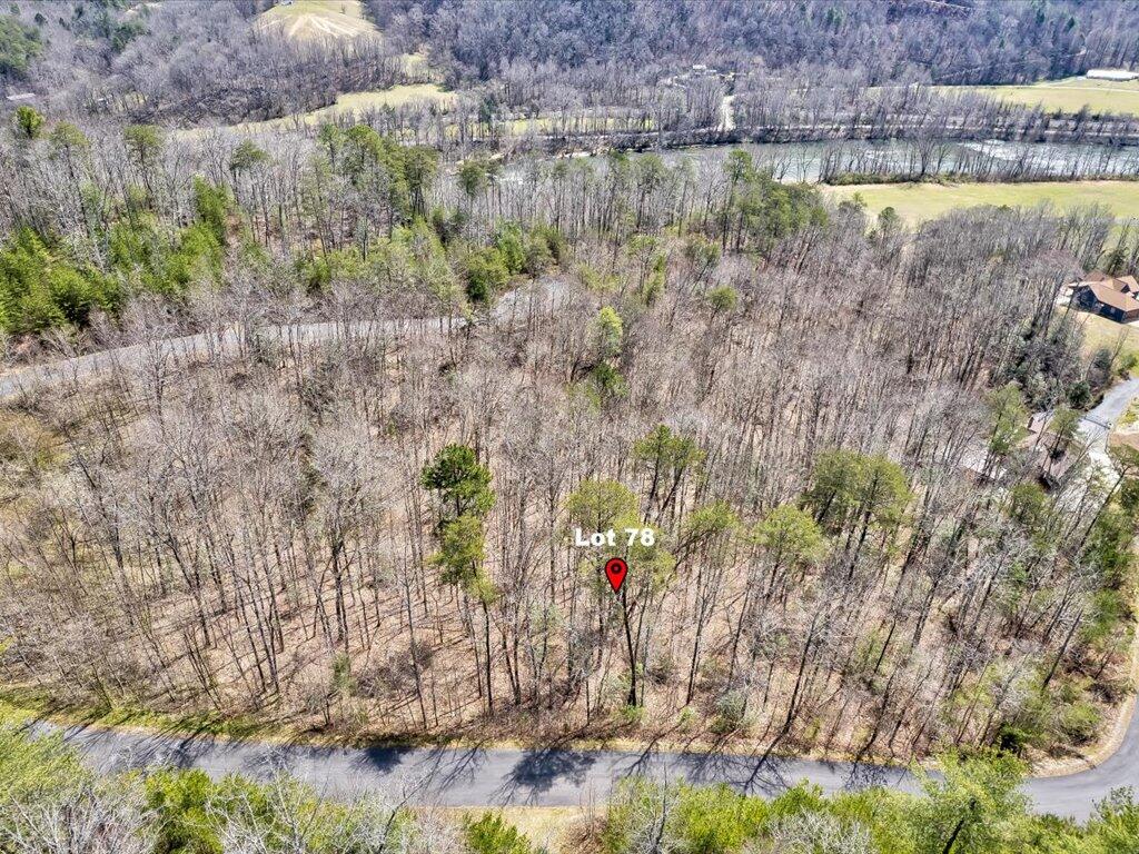 78-79 Bear Track Way, Unit 7879 Del Rio, TN 37727 - Photo 4 of 39 Lot 78 Bear Track Way - 4