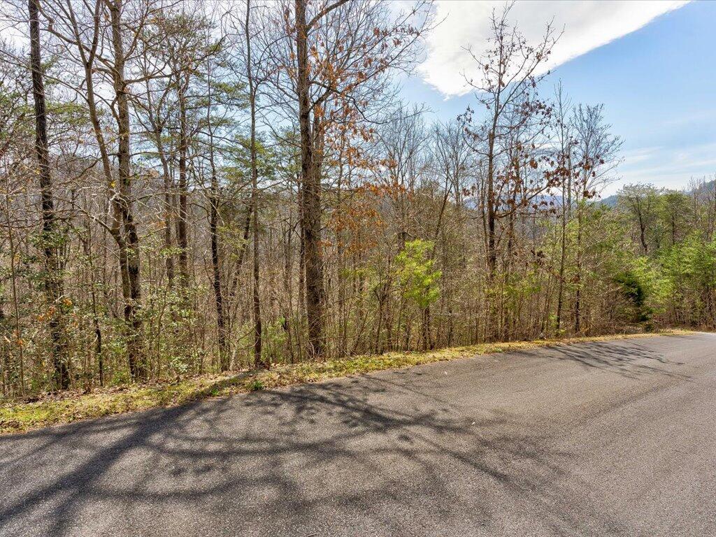 78-79 Bear Track Way, Unit 7879 Del Rio, TN 37727 - Photo 6 of 39 Lot 78 Bear Track Way - 6