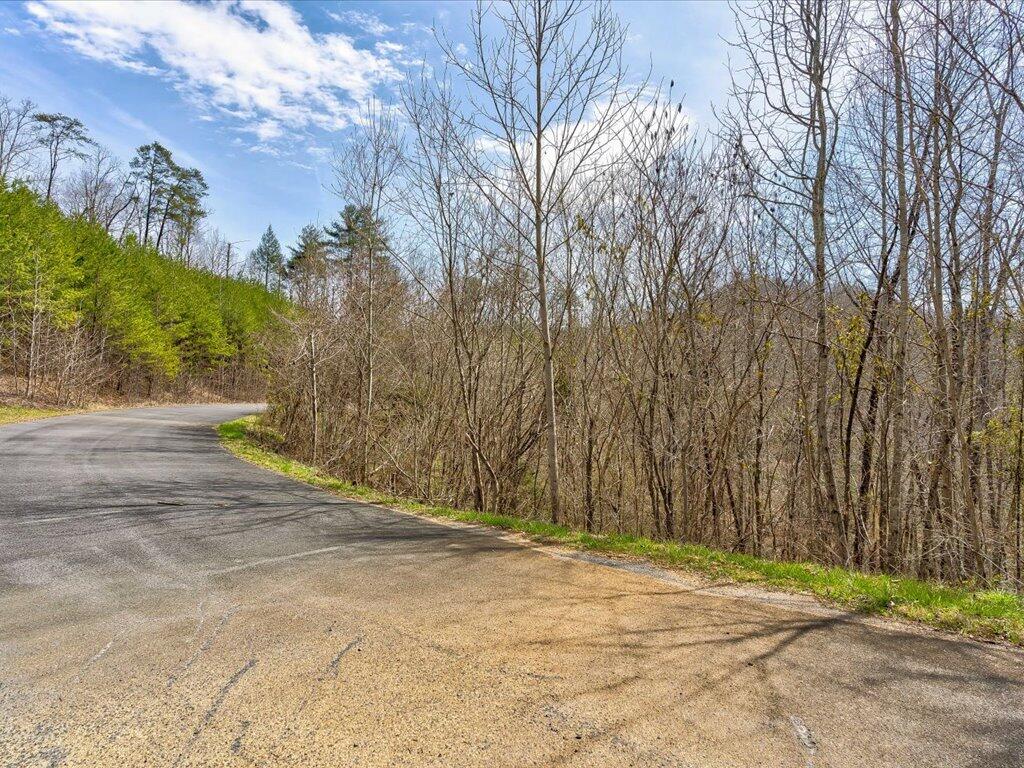 78-79 Bear Track Way, Unit 7879 Del Rio, TN 37727 - Photo 7 of 39 Lot 78 Bear Track Way - 7