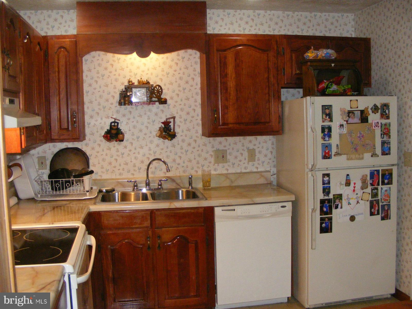3 Meadow Court Rising Sun, MD 21911 - Photo 6 of 17 Kitchen