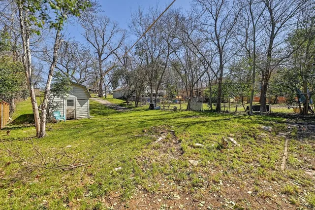 a view of a park with large trees