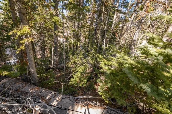 $88,000 | 271 Deer Trail, Brian Head, UT 84719