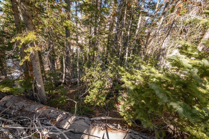 271 Deer Trail Brian Head, UT 84719 - Photo 16 of 37