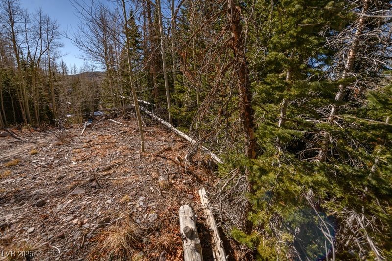 271 Deer Trail Brian Head, UT 84719 - Photo 17 of 37