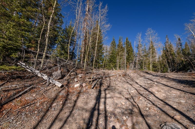 271 Deer Trail Brian Head, UT 84719 - Photo 29 of 37