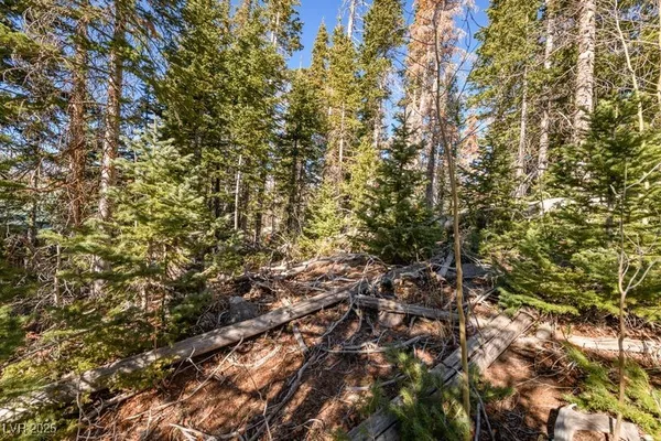 $88,000 | 271 Deer Trail, Brian Head, UT 84719