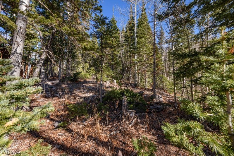 271 Deer Trail Brian Head, UT 84719 - Photo 3 of 37