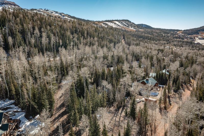 271 Deer Trail Brian Head, UT 84719 - Photo 4 of 37