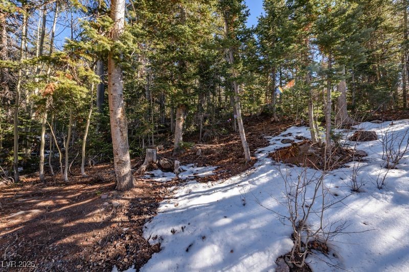 271 Deer Trail Brian Head, UT 84719 - Photo 5 of 37