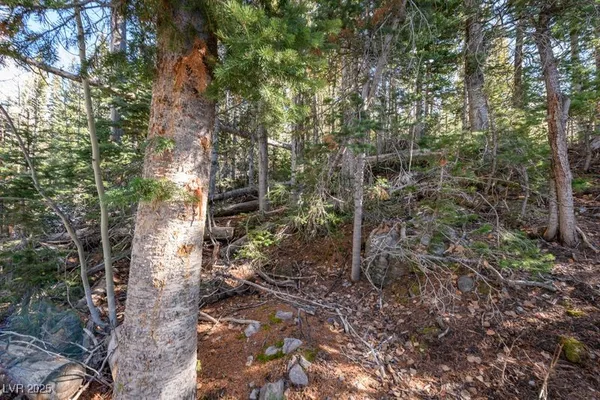 $88,000 | 271 Deer Trail, Brian Head, UT 84719