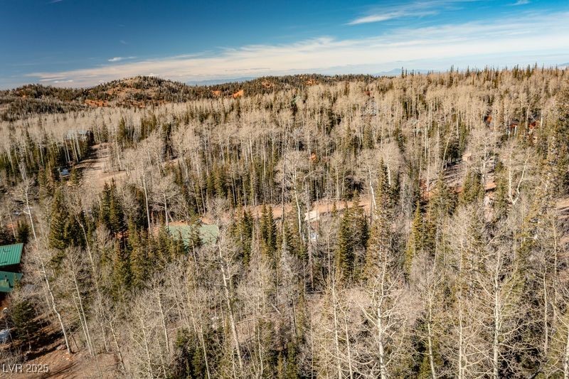 271 Deer Trail Brian Head, UT 84719 - Photo 8 of 37