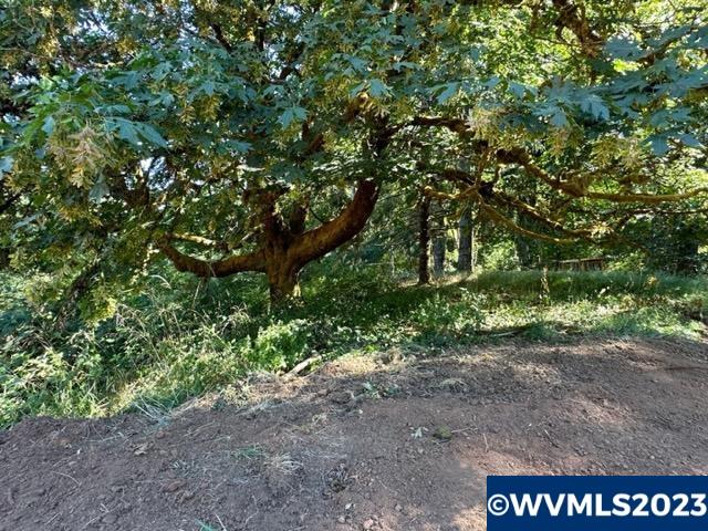 526258 Southwest Pumpkinseed Road Willamina, OR 97396 - Photo 23 of 24
