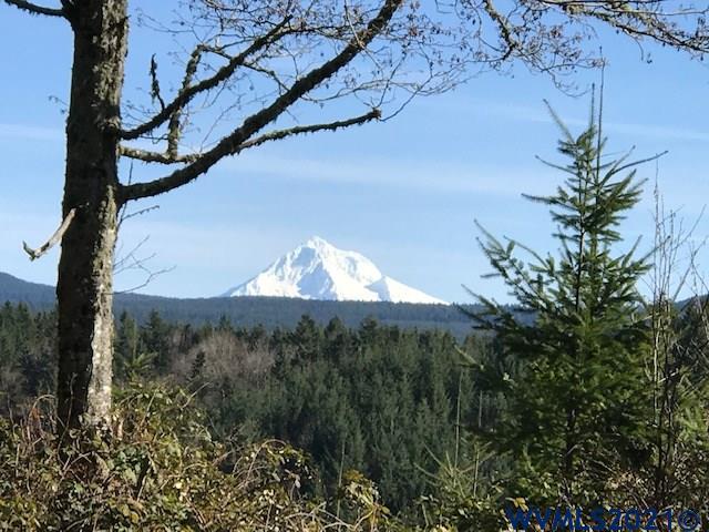 Southeast Loudon (lot 700) Road Corbett, OR 97019 - Photo 5 of 5