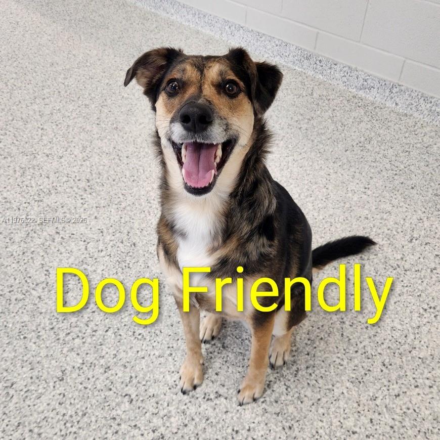 2630 Southwest 28th Street, Unit 51 Miami, FL 33133 - Photo 12 of 33 a sign that is on a wall