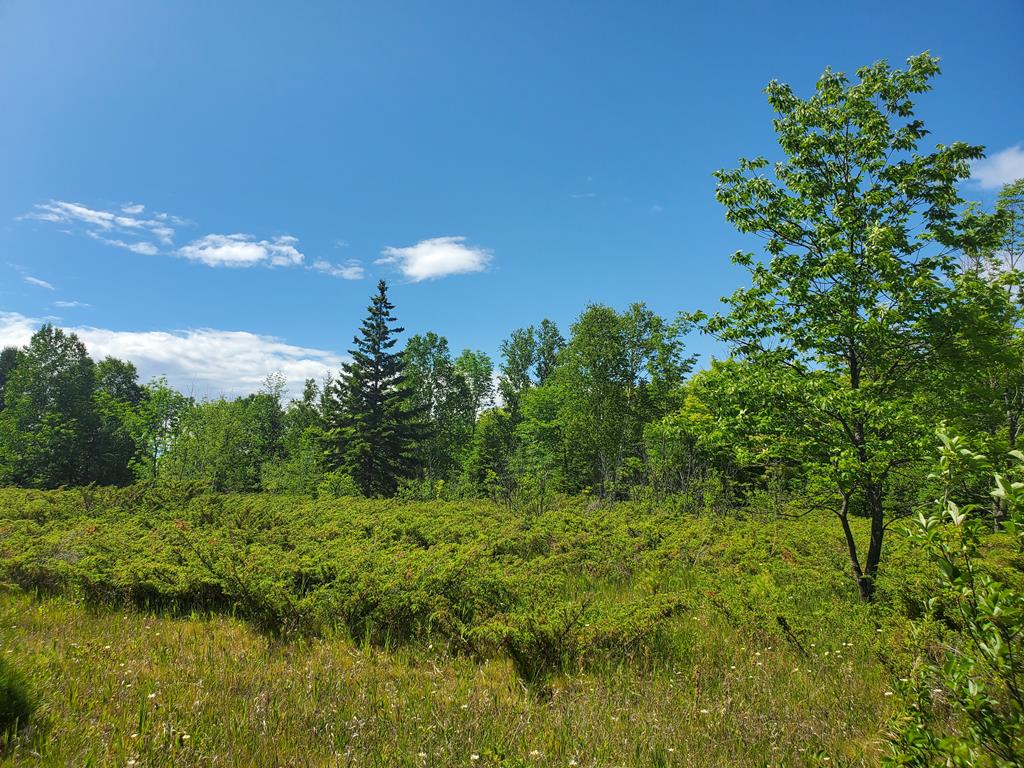 Lot 11 Timberline Road Ellison Bay, WI 54210 - Photo 1 of 6