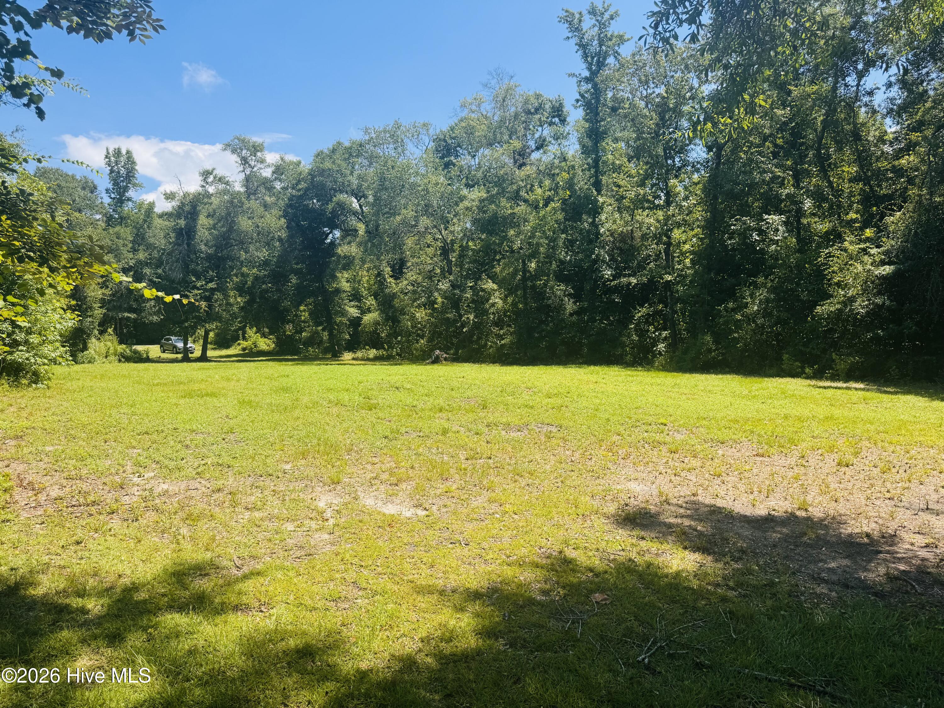1042 Lake Cadeli Road Bartow, GA 30413 - Photo 11 of 17