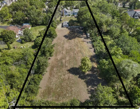 a view of a yard with plants