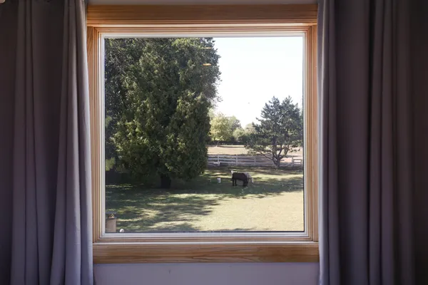 a view of a garden with plants