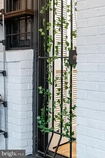 $2,650 | 1127 C Street Southeast, Unit 1, Washington, DC 20003