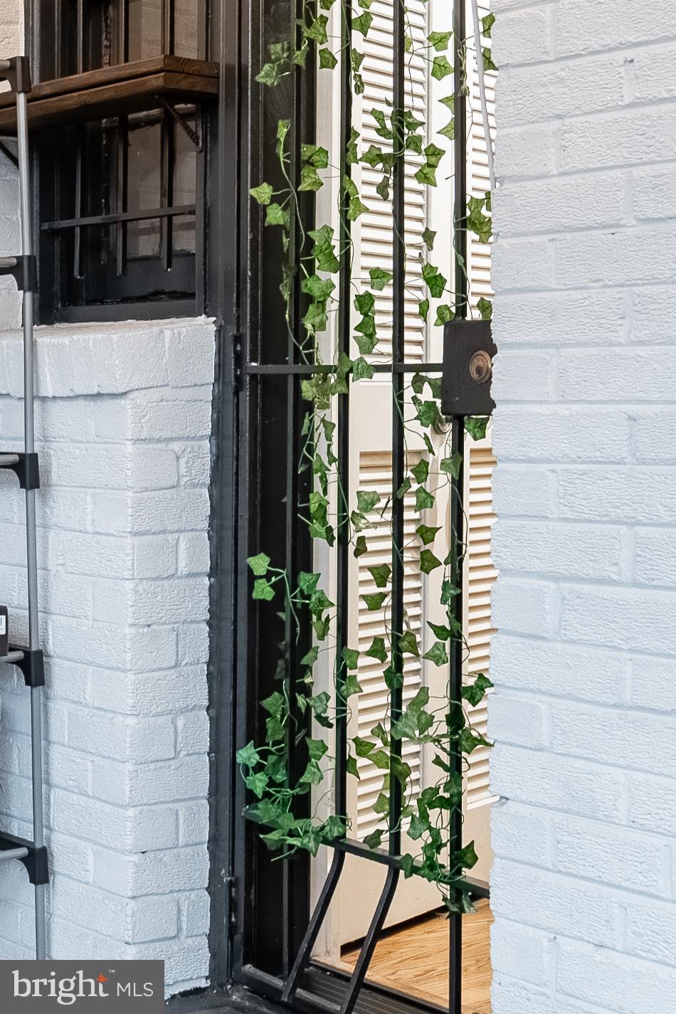 1127 C Street Southeast, Unit 1 Washington, DC 20003 - Photo 26 of 26 a bathroom with a potted plant and a window