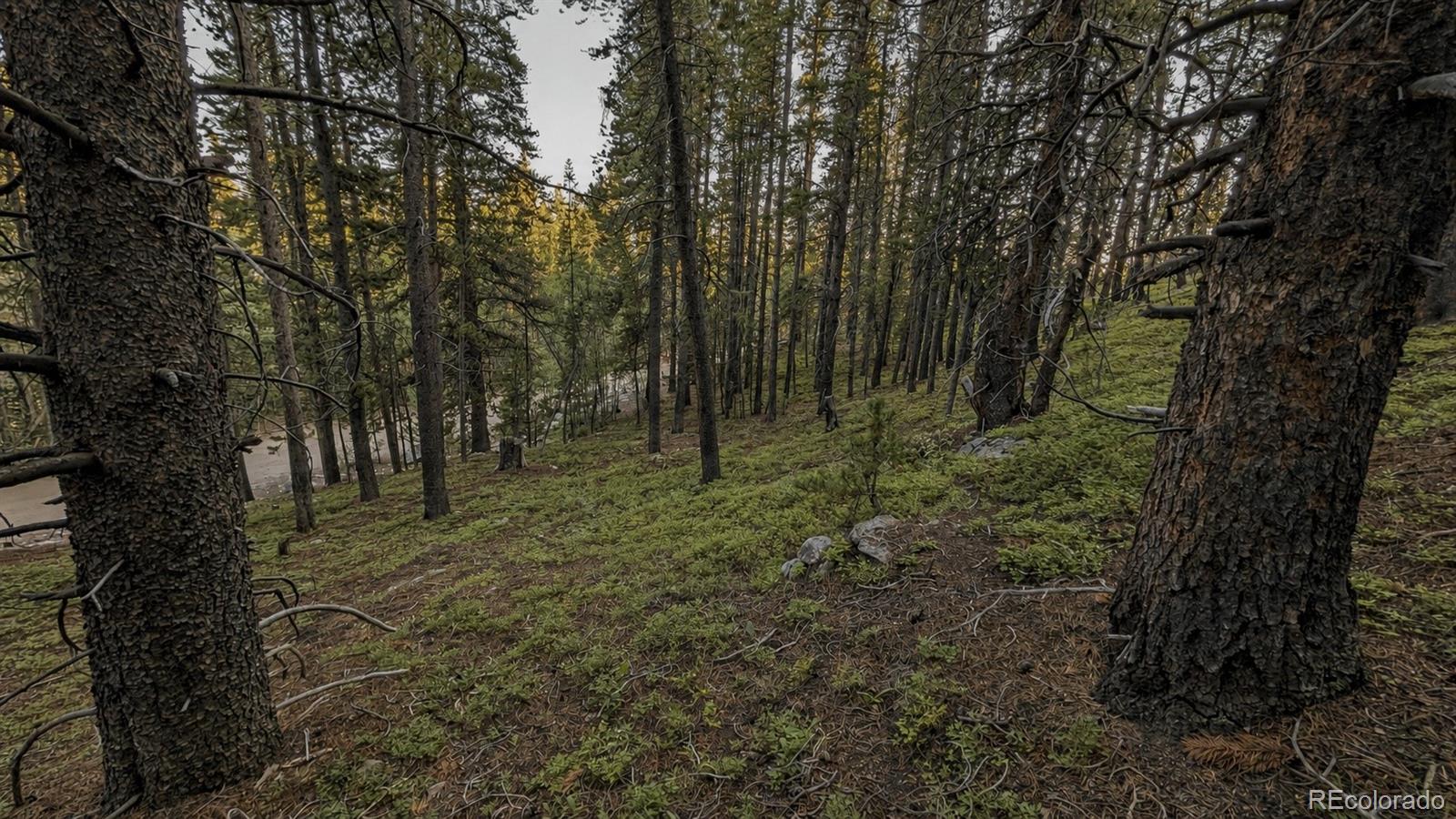 0 Steuart Road Idaho Springs, CO 80452 - Photo 10 of 19 Gallery Image 10