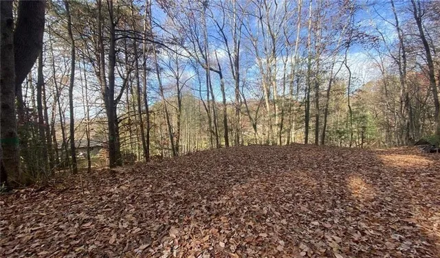 $49,999 | 1 Barefoot Hill Road, Hiawassee, GA 30546