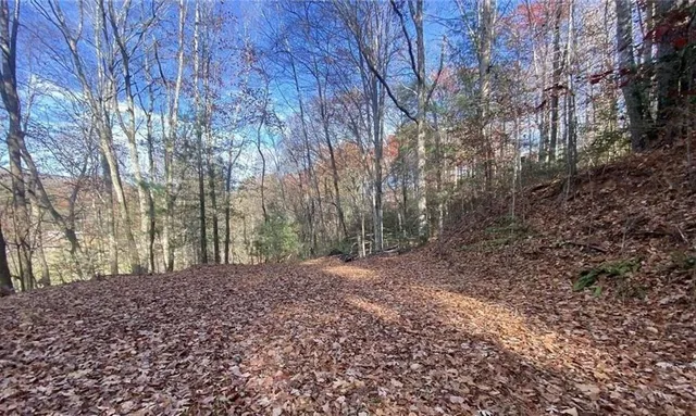 $49,999 | 1 Barefoot Hill Road, Hiawassee, GA 30546