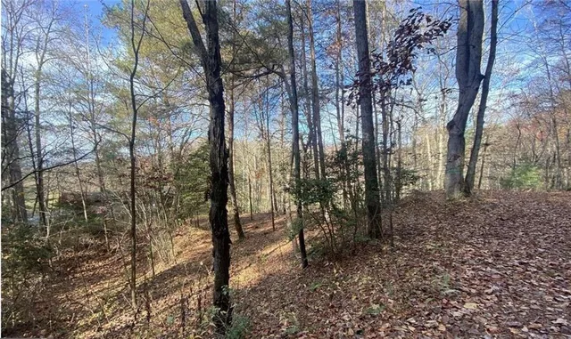 $49,999 | 1 Barefoot Hill Road, Hiawassee, GA 30546