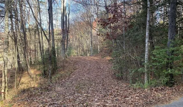 $49,999 | 1 Barefoot Hill Road, Hiawassee, GA 30546