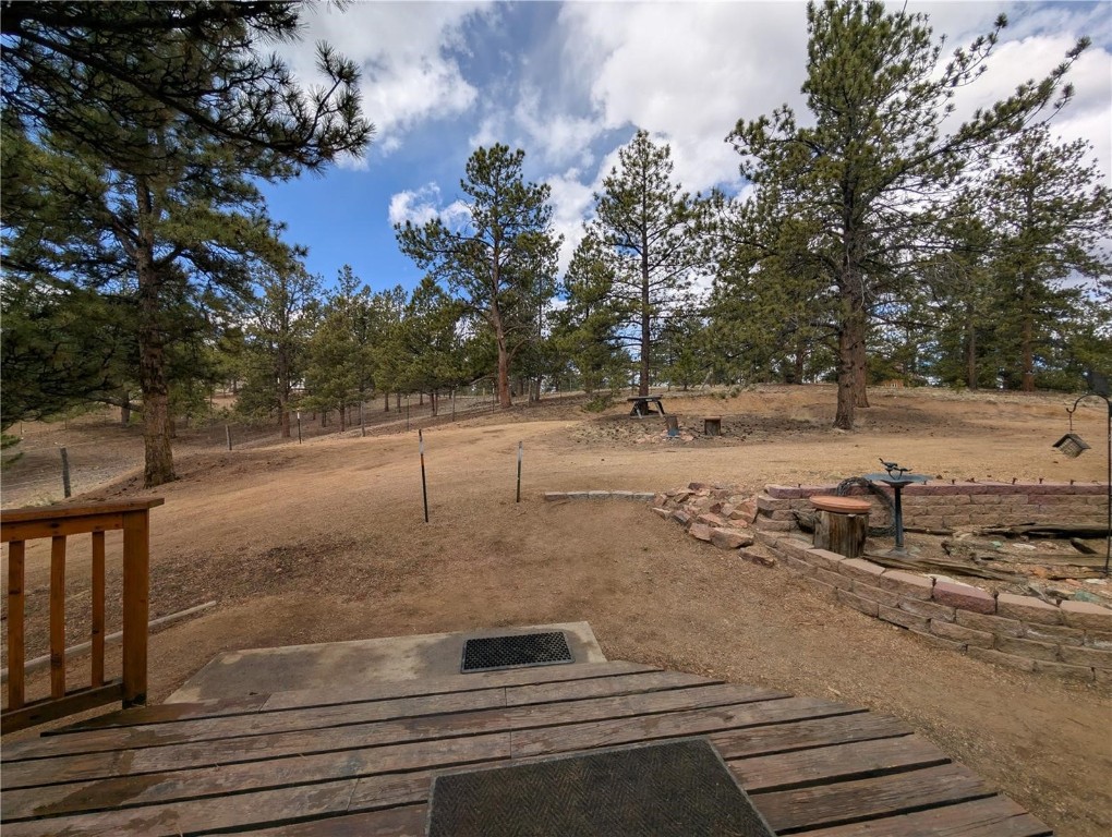2117 Badger Creek Road Hartsel, CO 80449 - Photo 38 of 46 a view of a yard with a tree