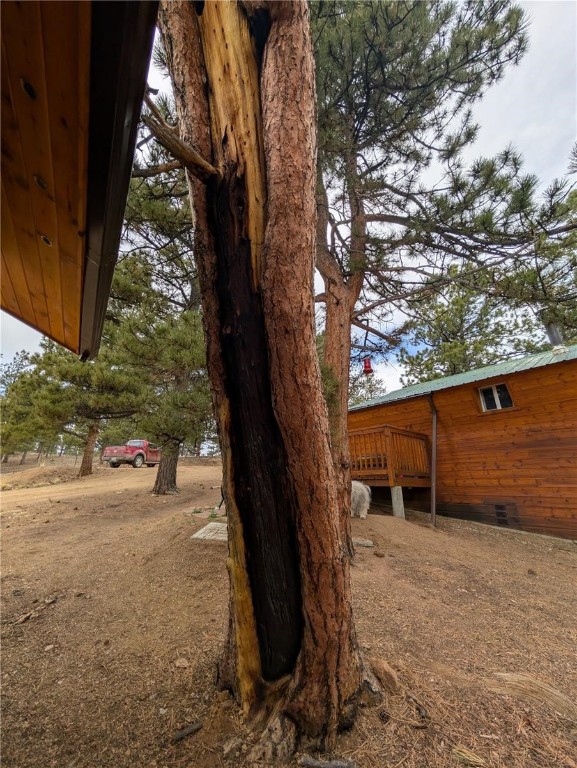 2117 Badger Creek Road Hartsel, CO 80449 - Photo 41 of 46 a view of a backyard