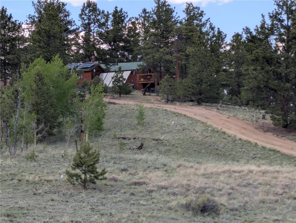 2117 Badger Creek Road Hartsel, CO 80449 - Photo 43 of 46 a view of a forest with trees in the background