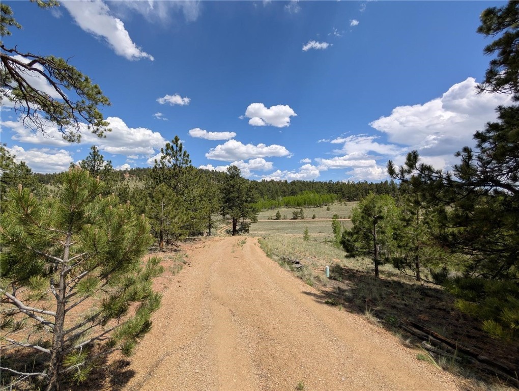 2117 Badger Creek Road Hartsel, CO 80449 - Photo 10 of 46 a view of a pathway with a yard
