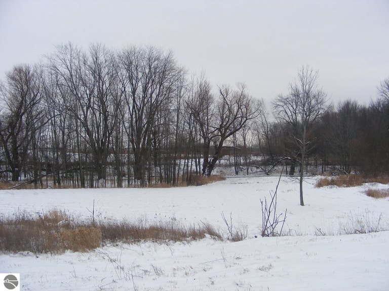 10790 East Boyer Road Carson City, MI 48811 - Photo 26 of 27 1777389-25.JPG