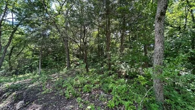 $60,000 | Great House Lane, Lincoln, MO 65338