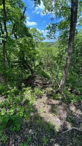 $60,000 | Great House Lane, Lincoln, MO 65338