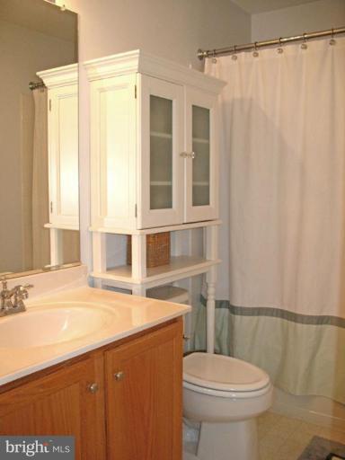 5866 Summers Grove Road Alexandria, VA 22304 - Photo 16 of 19 a bathroom with a sink a toilet and shower