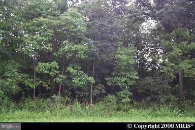 Camp Winslow Road Dameron, MD 20628 - Photo 1 of 1 Exterior (Main)
