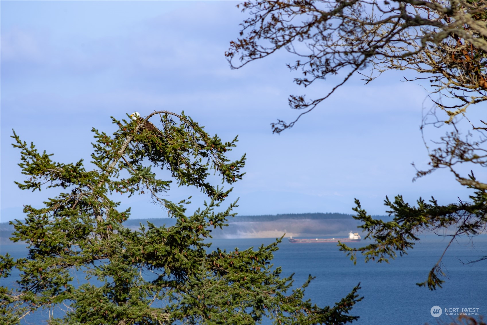 560 Raven Road Port Townsend, WA 98368 - Photo 37 of 38 Gallery Image 37