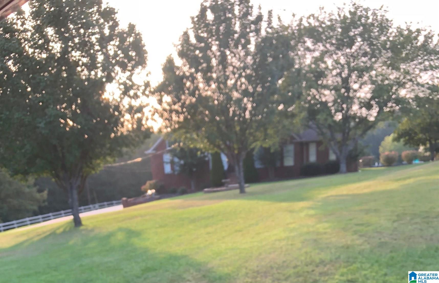 9204 Manning Road Dora, AL 35062 - Photo 4 of 41