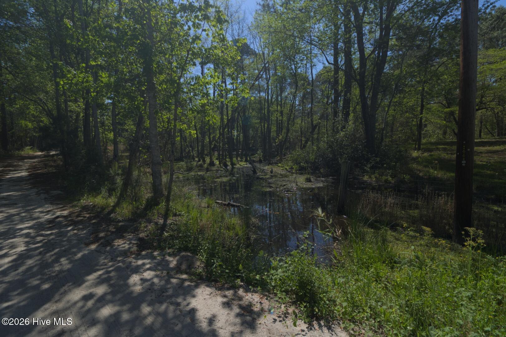 0 Sr 1226 Road Aberdeen, NC 28315 - Photo 28 of 43 Ground Site 10 Facing South