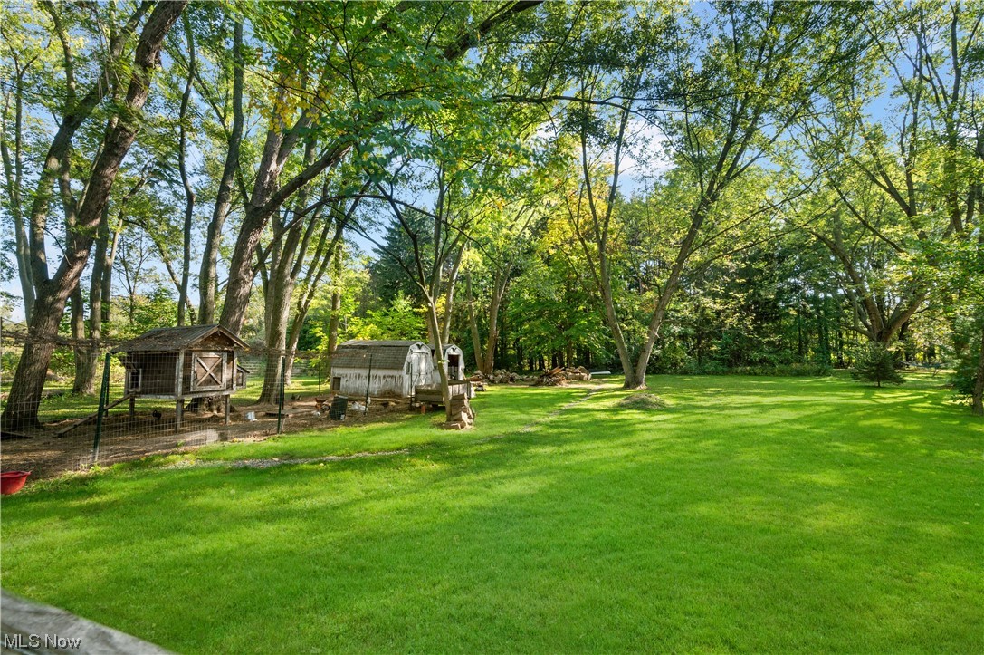 3867 Randolph Road Mogadore, OH 44260 - Photo 21 of 23 View of yard with an outdoor structure