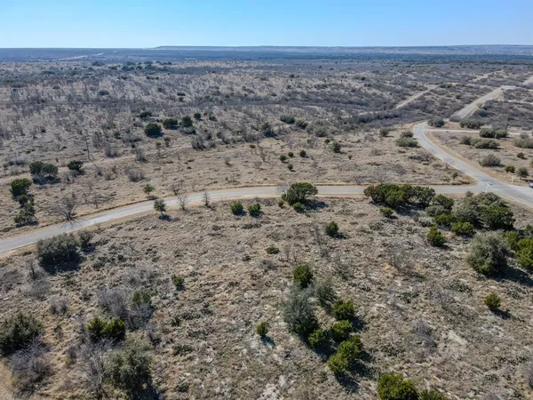 a view of a dry yard