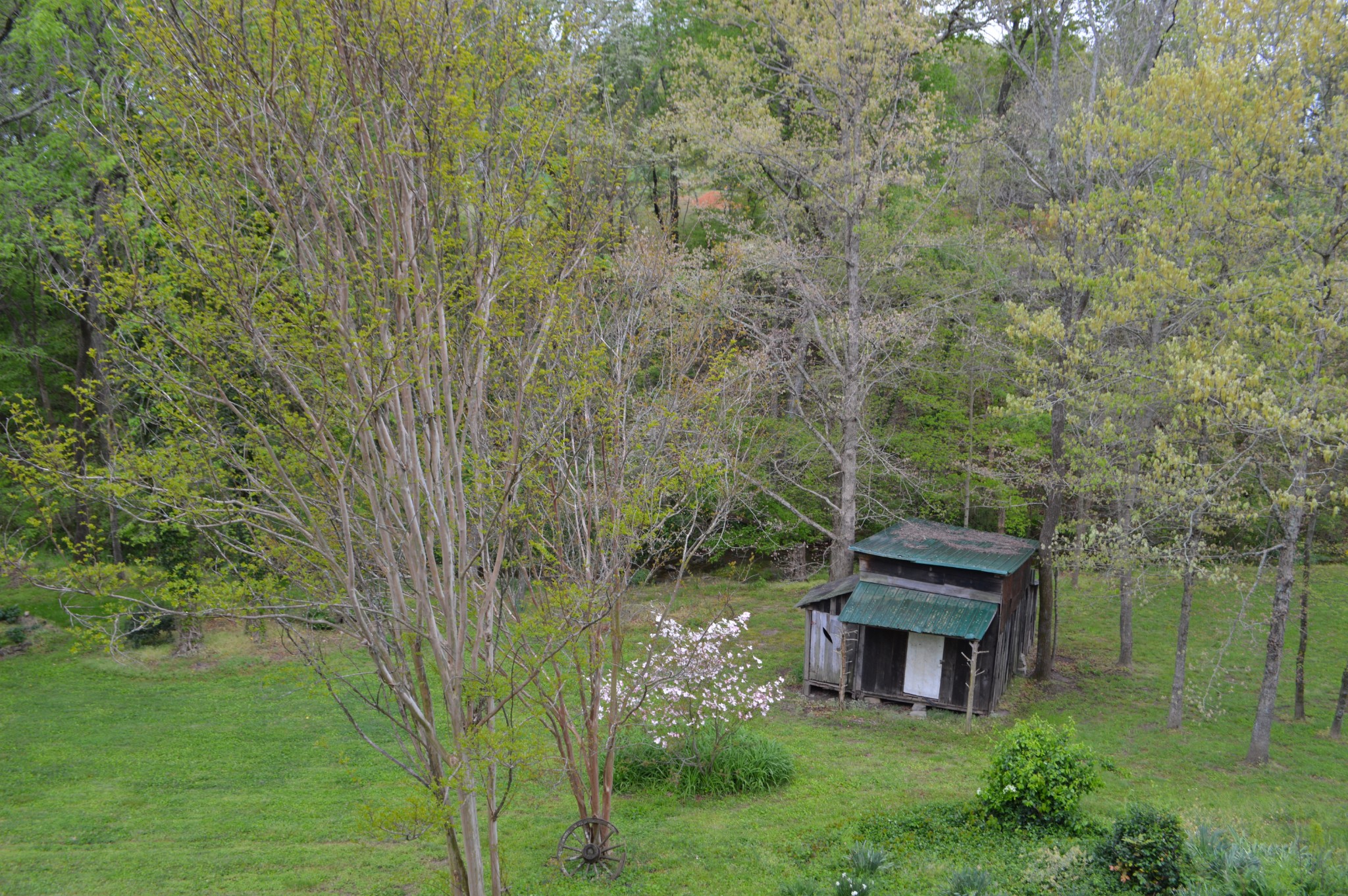 4457 Airport Road Springfield, TN 37172 - Photo 5 of 6 a view of a garden from a patio