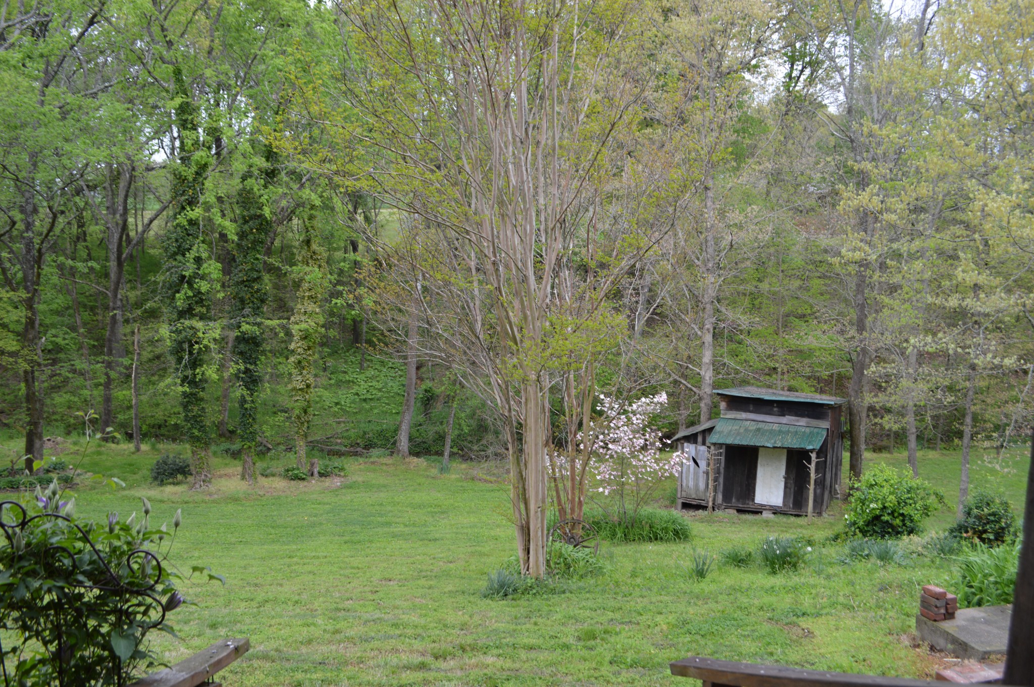 4457 Airport Road Springfield, TN 37172 - Photo 6 of 6 a view of a garden